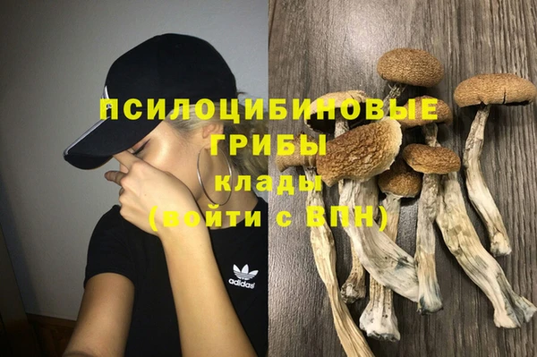 эйфоретик Армянск