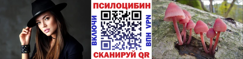 Галлюциногенные грибы Psilocybe  Октябрьский 