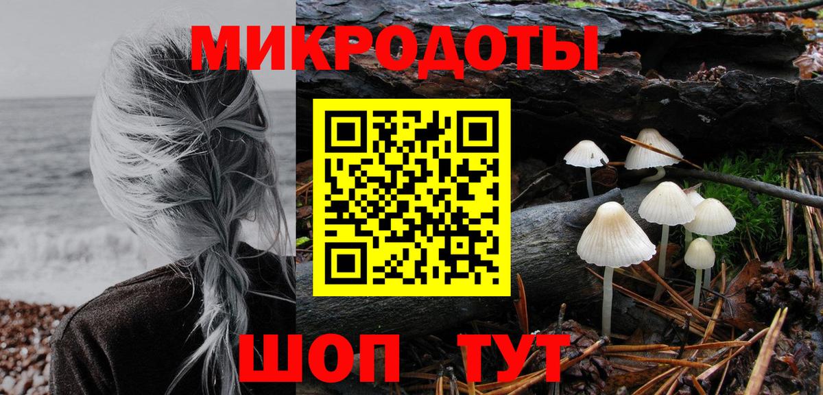 Галлюциногенные грибы мухоморы Октябрьский